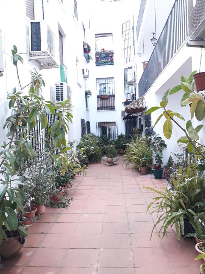 Ferienwohnung Apartamento Centro Juderia Córdoba Exterior foto